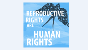 Reproductive rights are Human rights: States have not been eager to transfer this principle into their legislations
