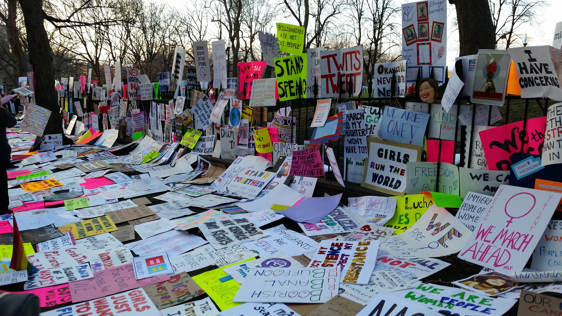Placards from the Women’s March