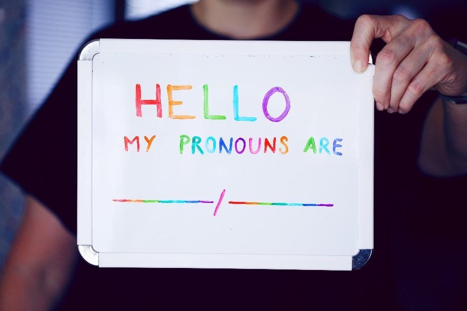 Photo by Sharon McCutcheon via Unsplash