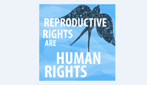 Reproduktīvās tiesības ir cilvēktiesības. Valstis nav bijušas pārāk aktīvas, ieviešot šādus principus likumdošanā.