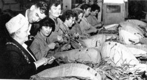 In the past women have done a variety of jobs: from working in factories during war periods to steamming tobacco leaves. In this picture Florence Brown, the first female Lord Major of Bristol, returns to her old job in a factory for a few minutes (June 1963).