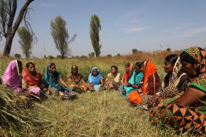 Women sitting in a field